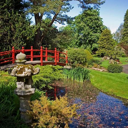 The Curragh Country House Accommodation Newbridge  Eksteriør bilde