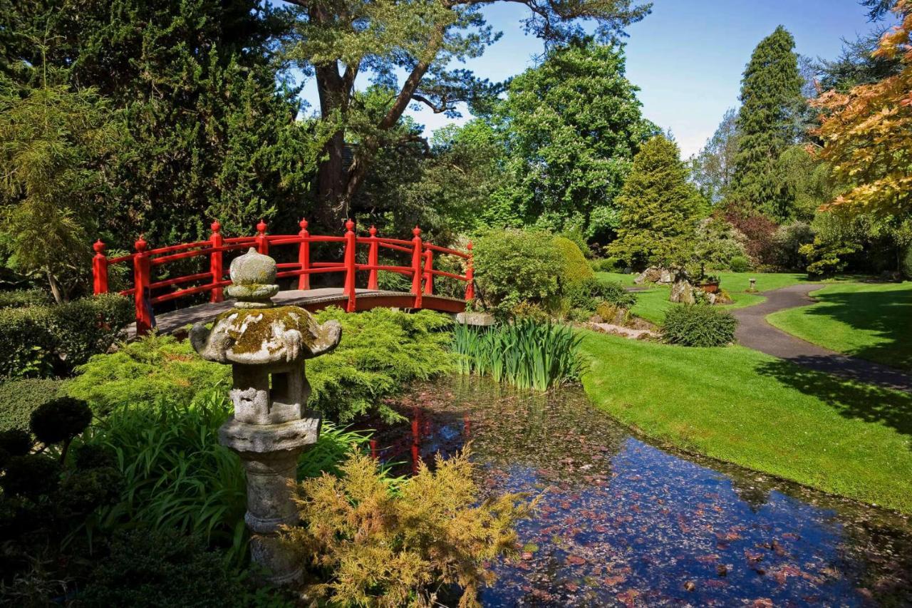 The Curragh Country House Accommodation Newbridge  Eksteriør bilde