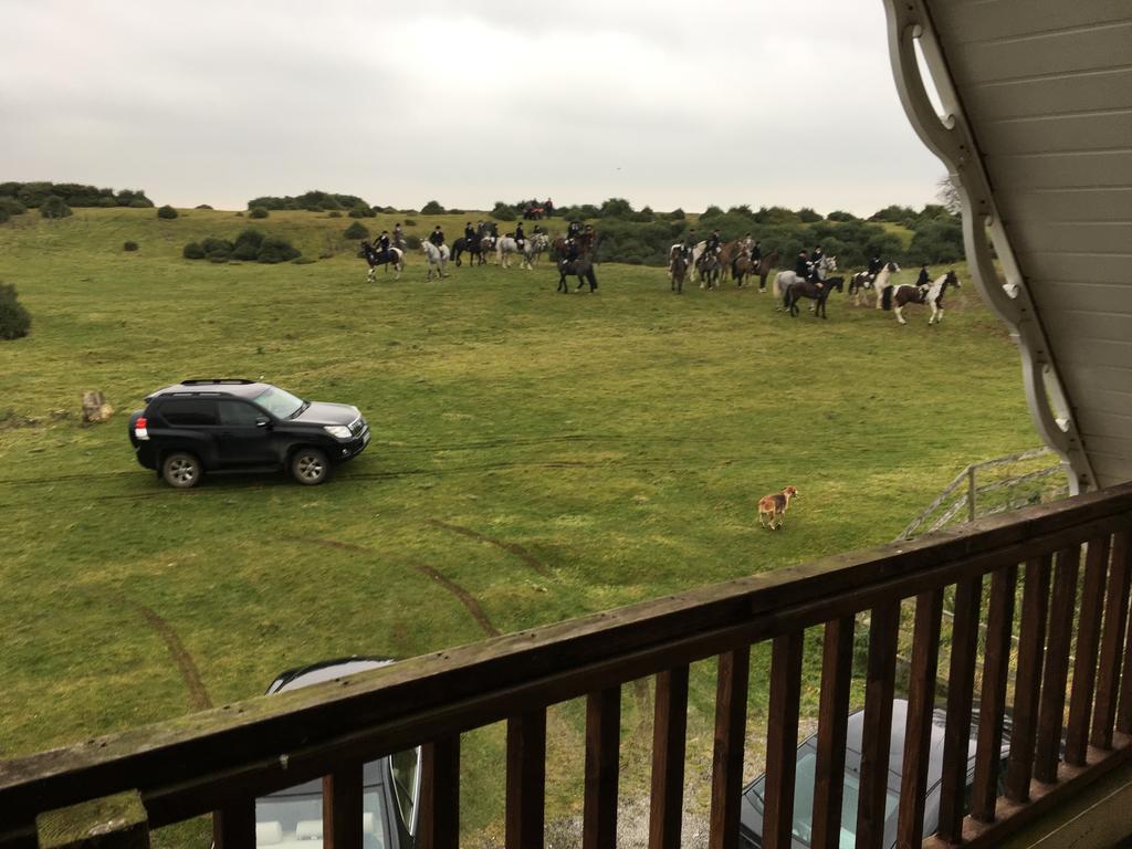 The Curragh Country House Accommodation Newbridge  Eksteriør bilde