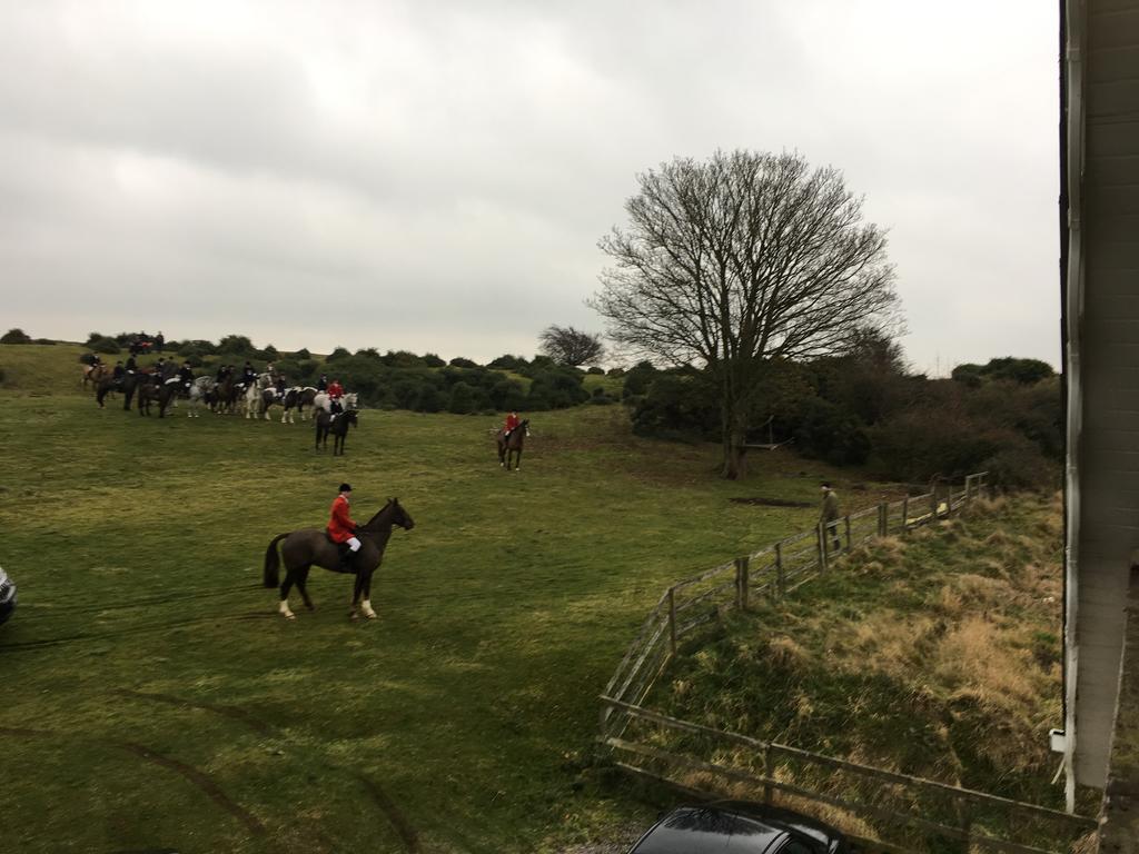 The Curragh Country House Accommodation Newbridge  Eksteriør bilde